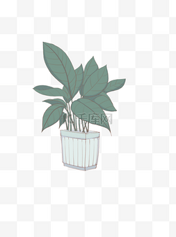植物图片_手绘植物蓝色盆栽