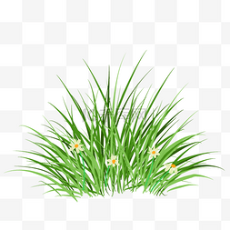 手绘小草丛图片_手绘长满鲜花的绿色草丛一片草丛