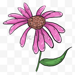 紫色手绘花朵植物元素