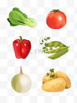 简约手绘蔬果小白菜番茄红椒豌豆