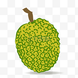 水果高清图片_热带水果菠萝蜜矢量图