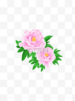 牡丹花瓣图片_商用节日花卉国花水彩粉色富贵花