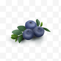 暑假夏季水果蓝莓