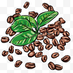 树叶图片_一堆美味咖啡豆插画