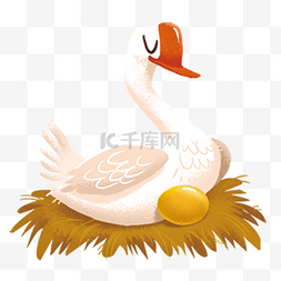 手绘插图下金蛋的鹅PNG透