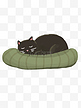 猫窝里的黑猫睡觉图