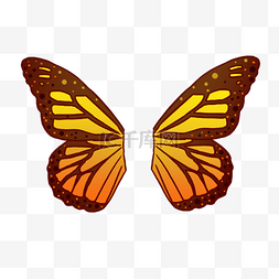 黄色蝴蝶翅膀图片_黄色的蝴蝶翅膀插画
