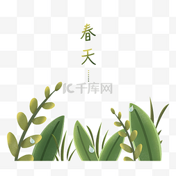 绿色植物嫩芽图片_春天绿色植物装饰春季