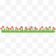 花朵动态分割线gif动图