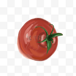西红柿食材