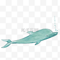 卡通水彩可爱的海豚