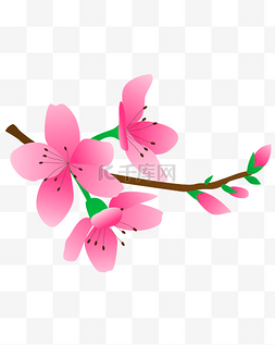 手绘粉色花背景图片_卡通免扣粉色花朵