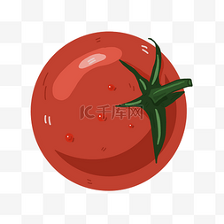 红色的小番茄图片_红色圆圆的小番茄