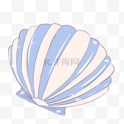 贝壳适量图片_贝壳彩色扇贝贝类