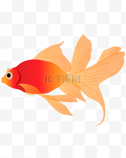 红色卡通金鱼图片_矢量手绘红色的鱼
