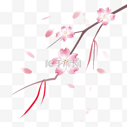 日本樱花花卉花瓣