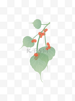 红果小巧植物绿叶可商用元素