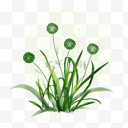 绿色小树叶图片_蒲公英春天绿色花草手绘装饰