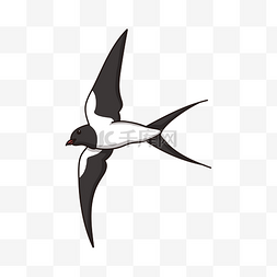 燕子飞翔插画图片_手绘飞翔的燕子插画