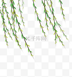 手绘漂浮柳树叶子插画免费下载