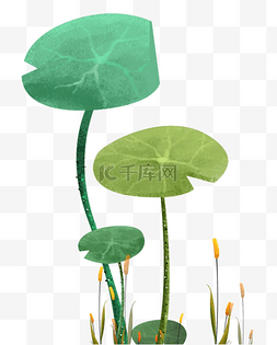 夏日荷塘绿色荷叶主题手绘
