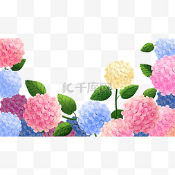 清新花卉海报图片_花卉主题之绣球花边框