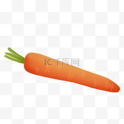 新鲜蔬菜食材红萝卜插画