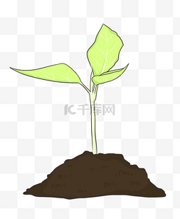 创意植物手绘插画图片_手绘小树发芽插画