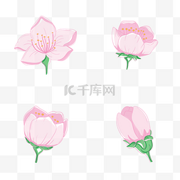 粉色卡通花瓣图片_卡通手绘樱花开花过程矢量图片