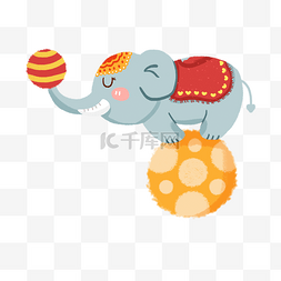 两大象图片_踩着球顶着球的大象png