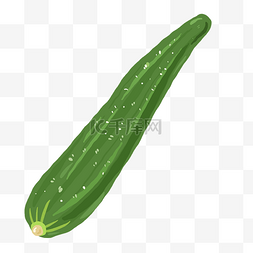 绿色的蔬菜黄瓜插画