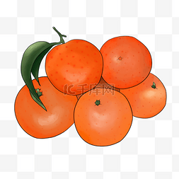 手绘水果橘子PNG图片
