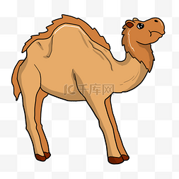 沙漠骆驼图片_卡通沙漠骆驼插画