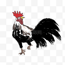 手绘插图动物公鸡PSD源文件