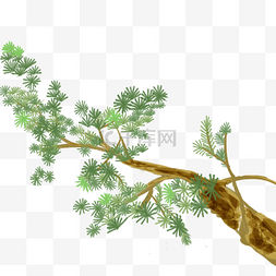 绿色松树手绘插画