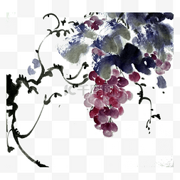 幸福生活图片_葡萄提子紫色水晶水果国画水墨PNG