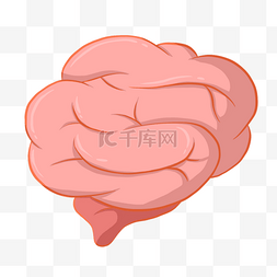 大脑插画图片_红色的大脑手绘插画
