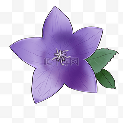 妖艳的花朵图片_手绘紫色的花朵插画