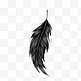 黑色质感写实手绘羽毛