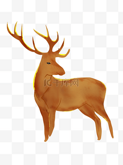 鹿子图片_保护动物鹿子元素