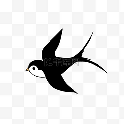 黑色的燕子手绘插画