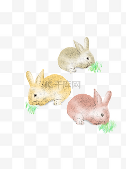 中秋节手绘可爱插画素描兔子
