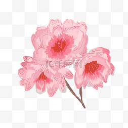 清新春季樱花手绘图案