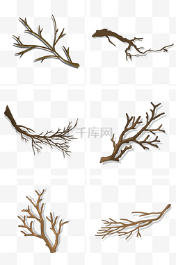 树杈树枝手绘插画