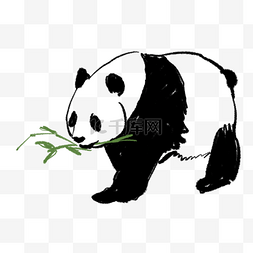 手绘小熊猫吃竹子免抠图