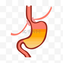五脏六腑卡通图片_扁平手绘人体器官胃矢量免抠素材