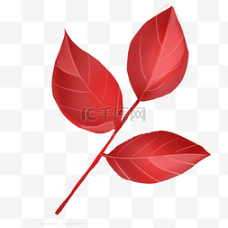 矢量树叶图片_一片红色的叶子