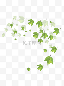 漂浮树叶图片_手绘植物树叶漂浮的叶子