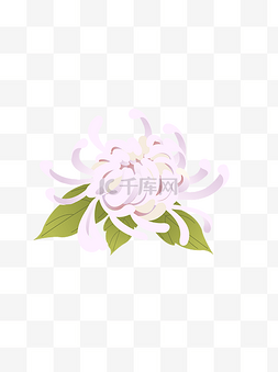 中元节白色菊花祭祀元素
