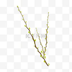 树枝枝条树叶图片_手绘矢量春季柳条嫩叶